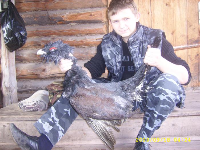 Мой первый глухарь 