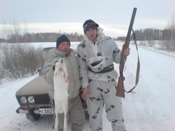 Русак