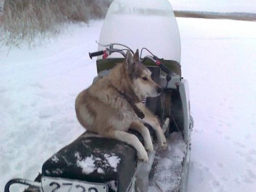 Эх прокачюсь пока хозяина нет!!!!