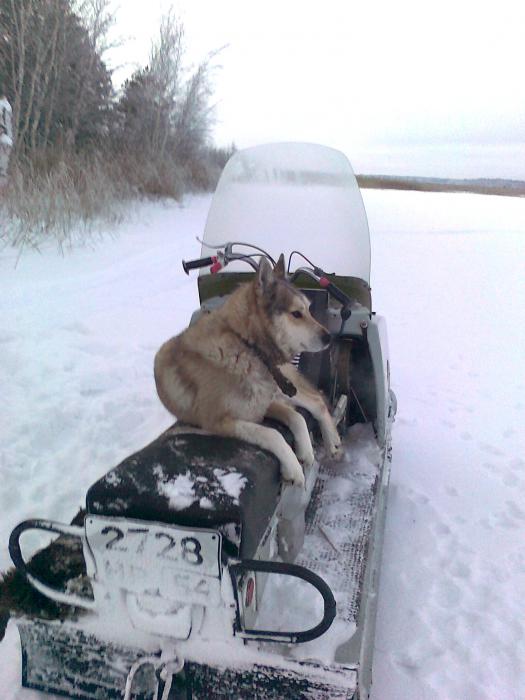 Эх прокачюсь пока хозяина нет!!!!