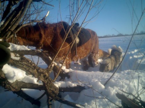 В логах.. 