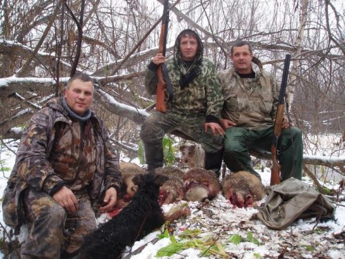 7 барсуков в течение получаса
