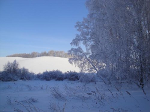 Чистота природы