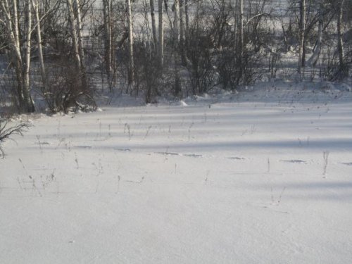 Сваливает!