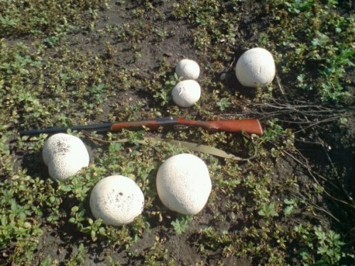 нашел в архиве