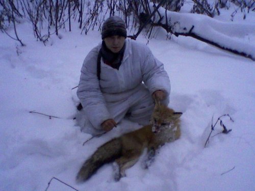 лисовин