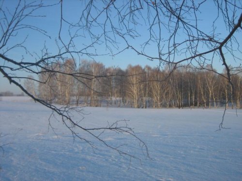 Крещенские морозы!!!