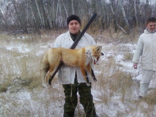 лисовин