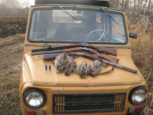 Наш конь
