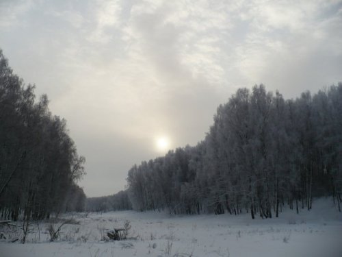 Январь 2011