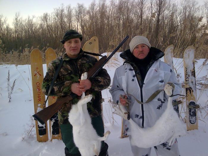 Сегодня у нас два белячка