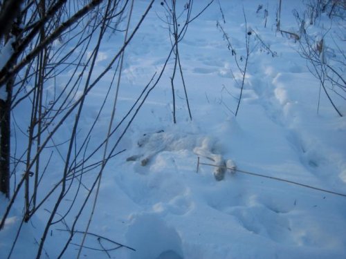 3 января 2011 года!!!