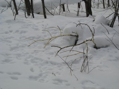 Закрытие сезона 2010-2011г.г. Томская область
