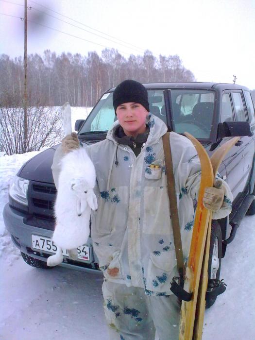 К вестям!
