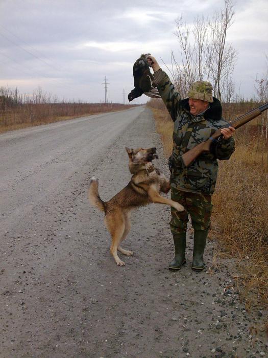 знакомство