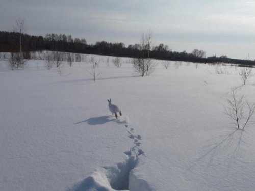 Делаем ноги!