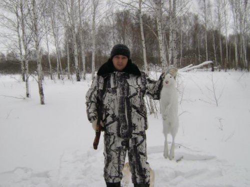 чулым