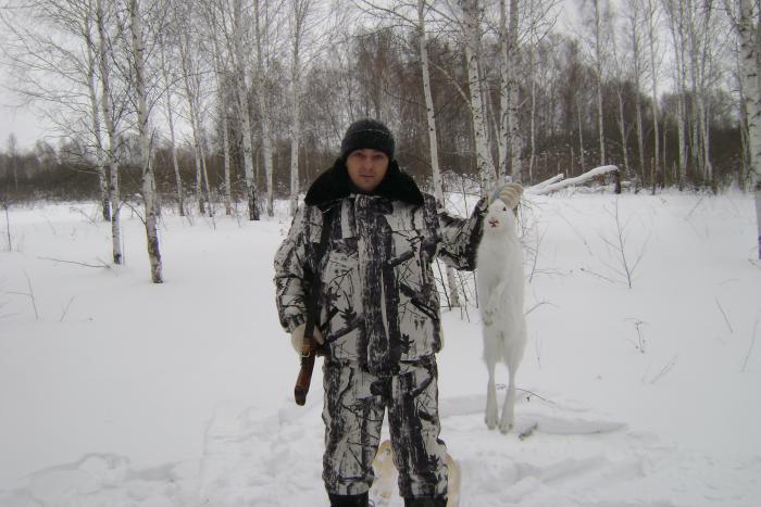 чулым