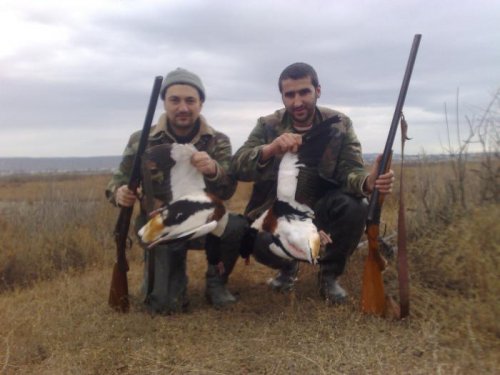 Duck Huntinq