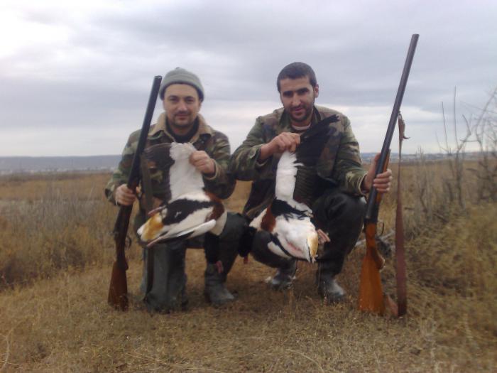 Duck Huntinq