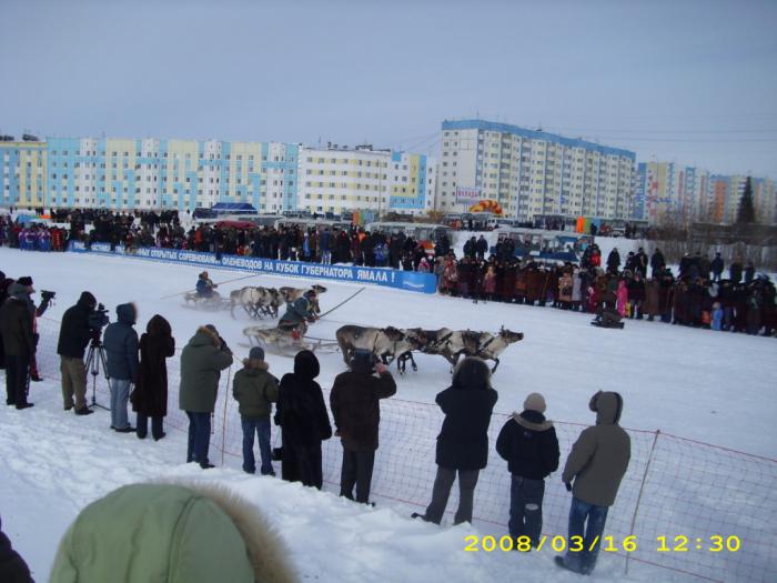 Финал гонок