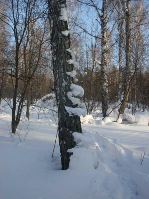 Лестница в небо... 
