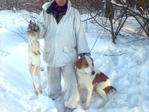 8 января 2011