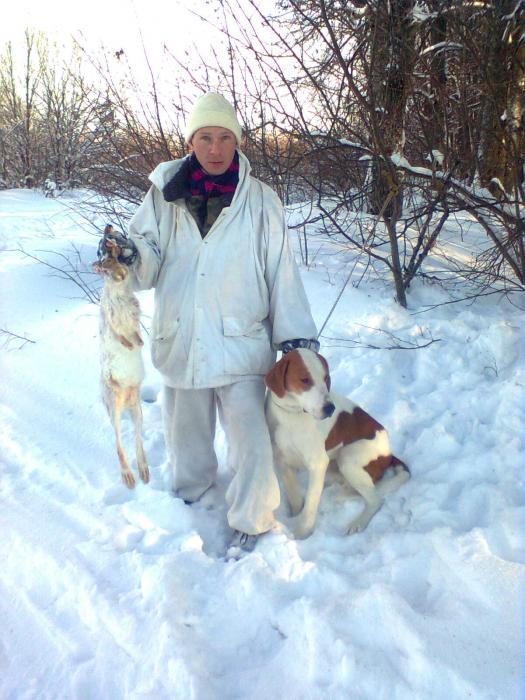 8 января 2011