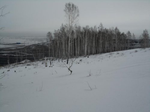 небольшой березнячок