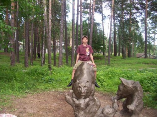 Сына и медведи