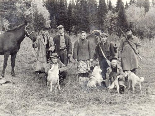 Лайки