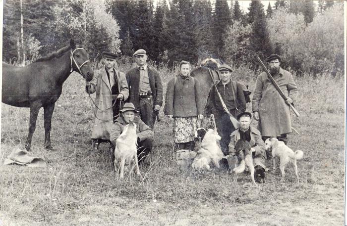 Лайки