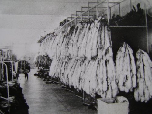На Иркутской пуш.-мех.базе декабрь 1980г.