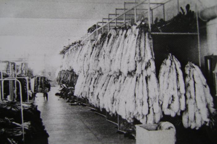 На Иркутской пуш.-мех.базе декабрь 1980г.