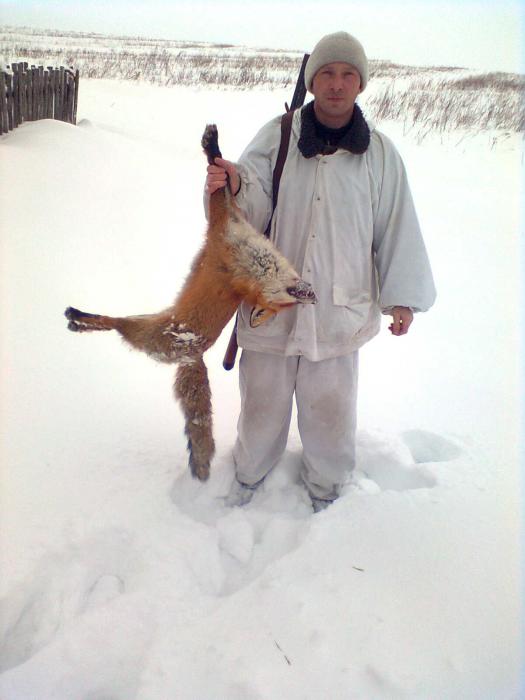 лисовин 5 февраля 2011