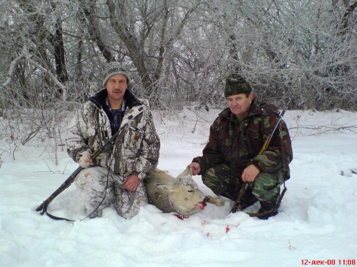 после удачного загона 