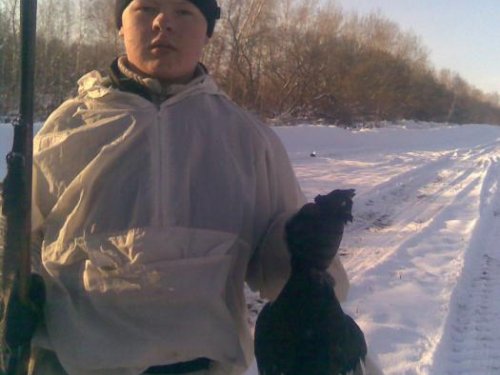 зиминий тетерев