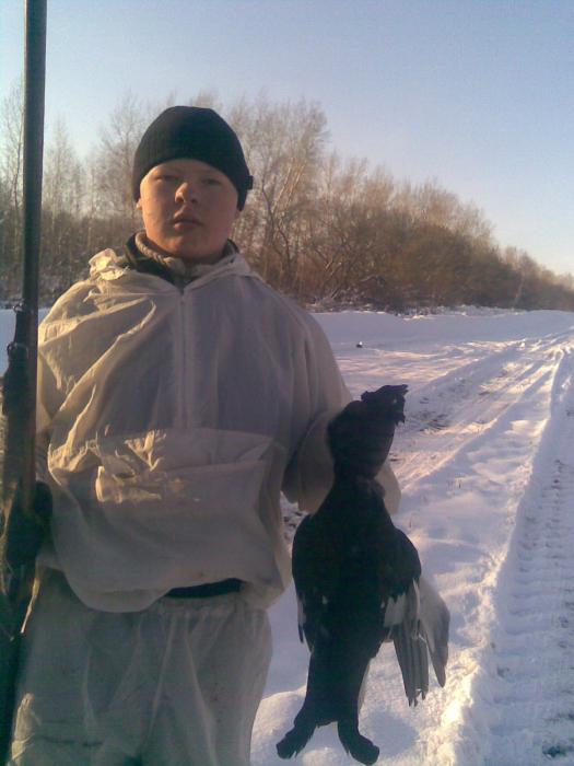 зиминий тетерев