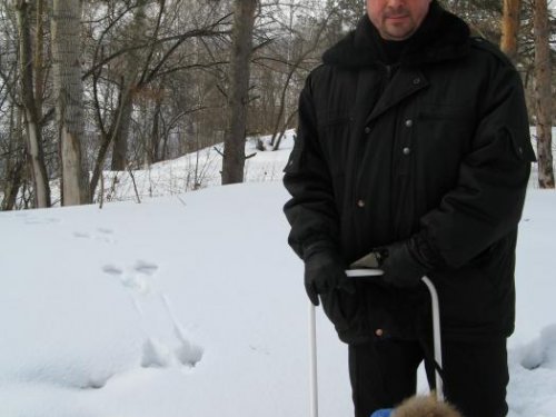 Зайцы в городе!!!