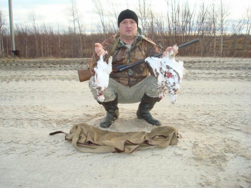 Куропатка