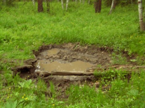 солонец