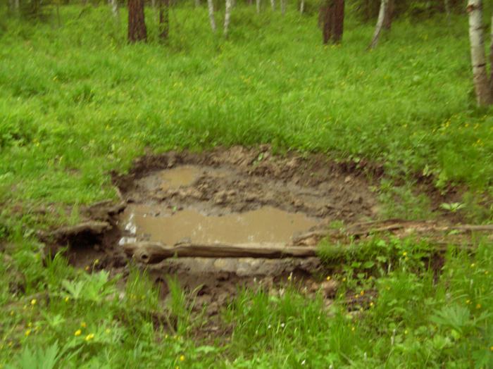 солонец