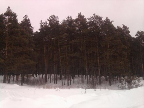 лог