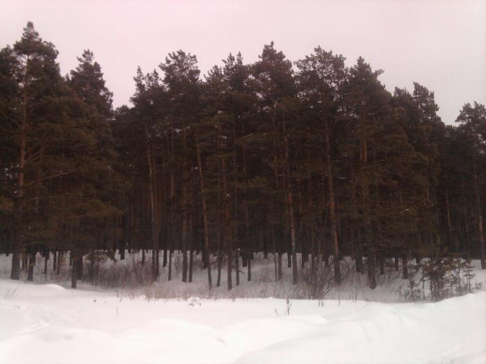 лог