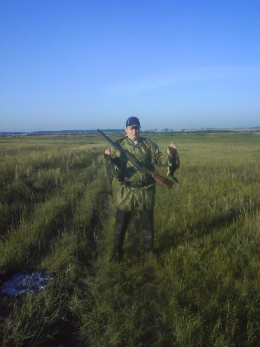 охота на утку