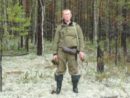 беломошник