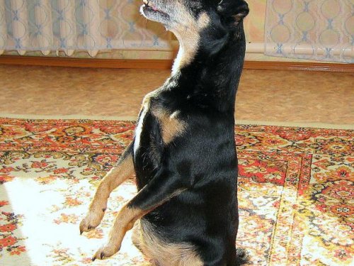 У праздничного стола...