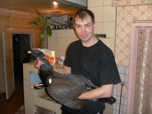 февраль 2011