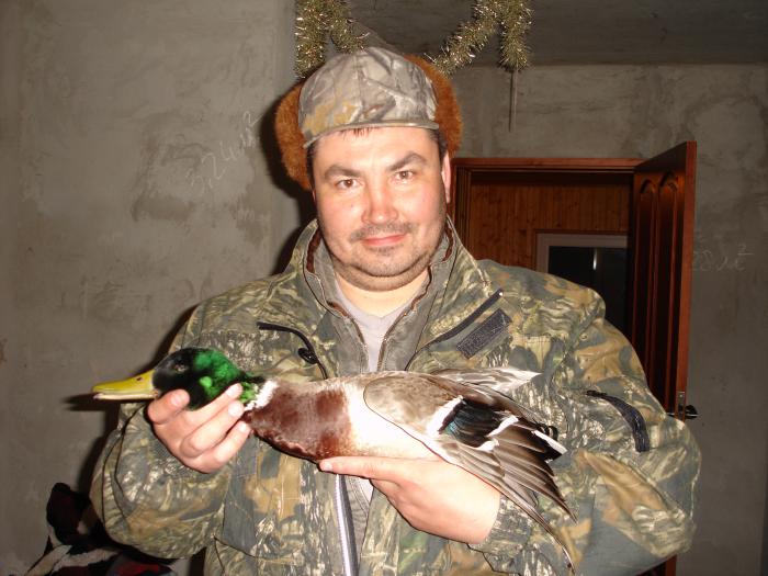 Пошел на вальдшнепа, а добыл селезня