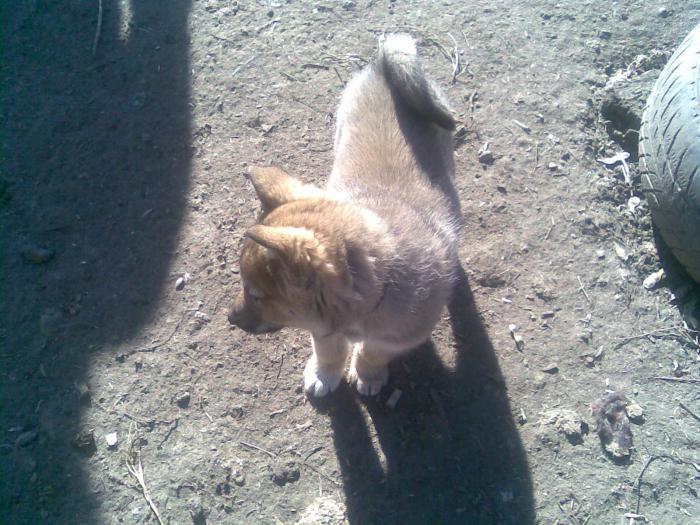 Нам скоро 2 месяца